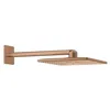 Image de Rainshower SmartActive Pommeau de douche mural 310 carré Chromé