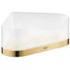Image de Grohe Accessoires Selection bac de douche d'angle avec support