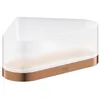 Image de Grohe Accessoires Selection bac de douche d'angle avec support