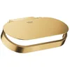Image de Grohe Porte-Rouleau Mural avec Couvercle avec Finition Starlight résistante aux Rayures, 15 x 8 x 5 cm, Couleur Or Brillant brossé (référence 41069GN0)