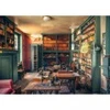 Image de Ravensburger Lost Places - Mysterious Castle Library