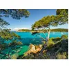 Image de Ravensburger - Puzzle Adulte - Puzzle 500 pièces - Vue sur la mer - Adultes et Enfants à partir de 12 Ans - Puzzle de qualité supérieure - Paysage & Nature - 12000219