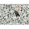 Image de Ravensburger - Puzzle Adulte - Puzzle 1000 pièces - Star Wars (Challenge Puzzle) - Adultes et enfants à partir de 14 ans - Puzzle de qualité supérieure - Star Wars - 12000458