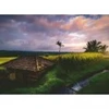 Image de Ravensburger Nature Edition - Rizières au Nord de Bali