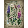 Image de Ravensburger Puzzle 12000781   Plantes vénéneuses   Puzzle de 1000 pièces pour Adultes à partir de 14 Ans