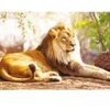 Image de Nathan Le Roi de la Savane