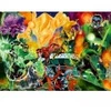Image de Ravensburger Justice League - Green Lanterns