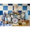 Image de Ravensburger Chatons dans la Cuisine