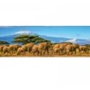 Image de Nathan Puzzle Panoramique - Troupeau d'Éléphants