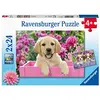 Image de Ravensburger - Puzzle Enfant - Puzzles 2x24 p - Amis Tout Doux - Dès 4 Ans - 05029