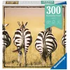 Image de Ravensburger - Puzzle Adulte débutant - Puzzle Moment - 300 pièces - Zèbres - Activité détente - Cadeau Adulte - Puzzle de qualité supérieure 39cm x 27cm - 13312
