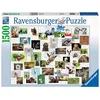 Image de Ravensburger Puzzle 16711 - Funny Animals Collage - Puzzle 1500 pièces pour Adultes et Enfants à partir de 14 Ans