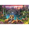 Image de Puzzle 3000 pièces Tigres au lagon Adulte A partir de 14 ans 00016719 Ravensburger