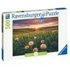 Image de Puzzle 500 p - pissenlits au crépuscule en occasion ou reconditionné