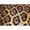Image de Ravensburger Jaguar