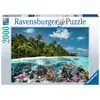 Image de Puzzle Une plongée aux Maldives