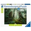 Image de Ravensburger Puzzle Adulte 1000 p - en forêt (Nature Edition) - Adultes, Enfants dès 14 Ans - Puzzle de qualité supérieure - Paysages - 17494