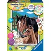 Image de Ravensburger   Numéro d’Art Format 18x24cm   Tendresse   Loisir créatif   Kit de Peinture par numéros   avec Autocollants   Activité détente et créative   Dès 7 Ans   28603   Version française