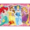 Image de Nathan Disney Princesses