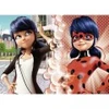 Image de Nathan Miraculous - Lady Bug
