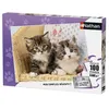 Image de Puzzle 100 pièces Nathan Duo de chatons en occasion ou reconditionné
