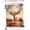 Image de Nathan - Puzzle 500 pièces - l'appel de la Nature - Natacha Einat - Adultes et Enfants dès 12 Ans - Puzzle de qualité supérieure - Collection Photo d'art - 87291