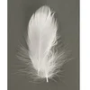 Image de Rayher 8514302 Ressort décoratif 5-10 cm 5 g - Blanc