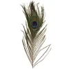 Image de Ressorts de Paon - 25 cm - 3 pièces - RAYHERÂ
