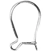 Image de Rayher 2227500 Lot de 2 crochets d'oreille en argent 925