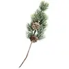 Image de Rayher 55869000 Rameau de Sapin avec Cône, 24cm