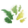 Image de Plumes mélange de Teintes Jaunes/Oranges - 3-10 cm - sct.-ls 10 g