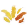 Image de Rayher Mix plumes décoration loisirs créatifs 10g, 3 10cm jaune/orange,  8511720