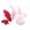 Image de Rayher 8511718 Ressort de Sons Mélange, 3 10 cm, sous Blister. Rouge 10 g