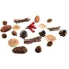 Image de Rayher 55917000 Mélange naturel avec pommes de pin assor., p. déco de noël 20pcs