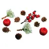 Image de Rayher 55918000 Mélange naturel av. pommes & baies ass., p. déco de noël, 11 pcs