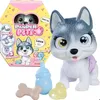 Image de Smoby - Pamper Petz - Husky à adopter - 4 accessoires - Articulé - Bois et fais pipi - Certificat dadoption - Dès 3 ans