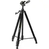 Image de CULLMANN - C 51391