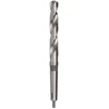 Image de Foret hélicoïdal DIN 345 type N D. nominal 19,5 mm HSS-Co5 L. de la spirale 140
