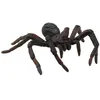 Image de Bullyland - 68430 - Pion - Araignée loup Multicolore