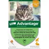 Image de Advantage Solution Antipuce Chat Lapin 1 à 4kg 6 pipettes