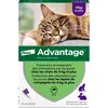 Image de ADVANTAGE Solution Antipuce Chat Lapin +4kg 4 pipettes