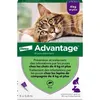 Image de ADVANTAGE Solution Antipuce Chat Lapin +4kg 6 pipettes