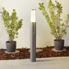 Image de Albert Leuchten Sublime borne lumineuse Elvio avec détecteur