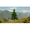 Image de NOCH 0021810 Arbre Sapin Nordmann 120 mm 1 pc(s), Vert