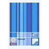 Image de Oktavheft a6 liniert 32 blatt herlitz 413617 en occasion ou reconditionné