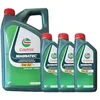 Image de Castrol Magnatec Start-Stop 5W-30 C2 3+5 = 8 Liter