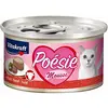 Image de pour Chat Boeuf Mousse