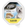 Image de Cesar Senior 10+ Lot de 14 bols de nourriture humide pour chien au poulet tendre et riz 14 x 150 g