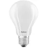 Image de Radium ESSENCE KLASSIK A150 827/F Filament LED, forme de poire E27, 16 W, 2700 K, 2450 lm, 330°, commutable, mat