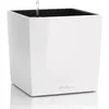 Image de Lechuza   Pot de Fleurs d'Interieur   Premium Cube   Réserve d'Eau Intégrée   Coloris Blanc   30 x 30 x 30 cm